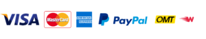 iplugn final auditPNG2