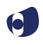 icon 22
